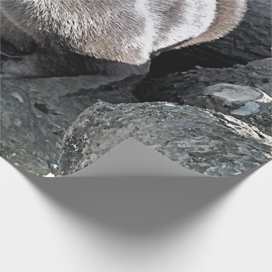 SNETTER CADEAUPAPIER (Hoek)