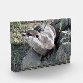 SNETTER FOTOBLOKKEN (Links)