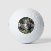 SNETTER GOLFBALLEN (Voorkant)