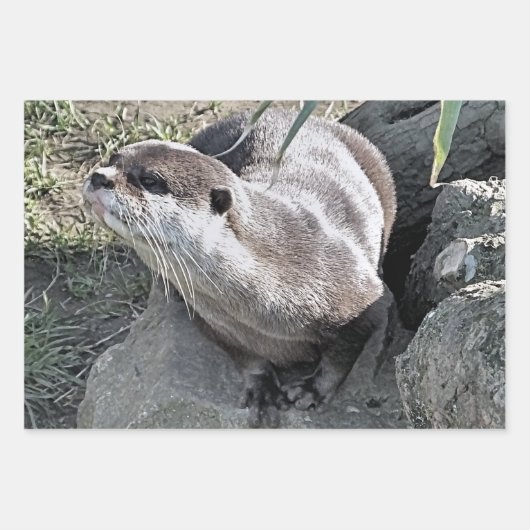 SNETTER INPAKPAPIER VEL (Voorkant 3)