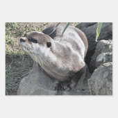 SNETTER INPAKPAPIER VEL (Voorkant)