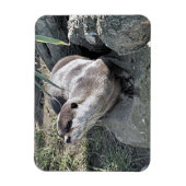 SNETTER MAGNEET (Verticaal)