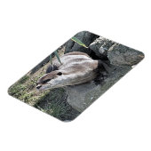 SNETTER MAGNEET (Linkerzijde)