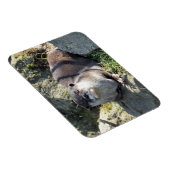 SNETTER MAGNEET (Rechterzijde)