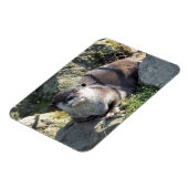 SNETTER MAGNEET (Linkerzijde)