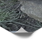 SNETTER POSTER (Hoek)