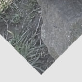 SNETTER TISSUEPAPIER (Detail)