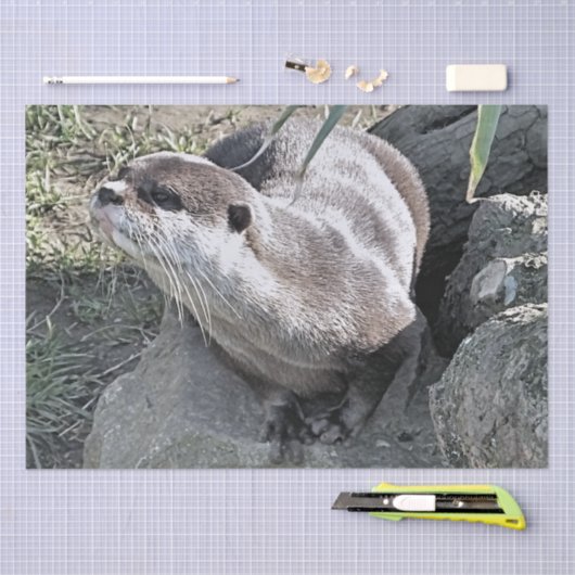 SNETTER TISSUEPAPIER (Craft)