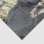 SNETTER TISSUEPAPIER (Detail)