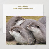 SNETTERS (Voorkant / Achterkant)