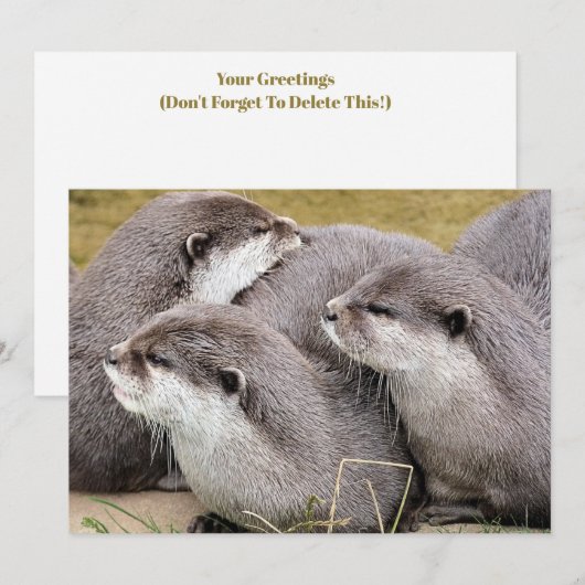 SNETTERS (Voorkant / Achterkant)