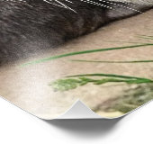 SNETTERS FOTO AFDRUK (Hoek)