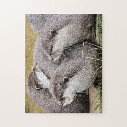 SNETTERS LEGPUZZEL (Verticaal)