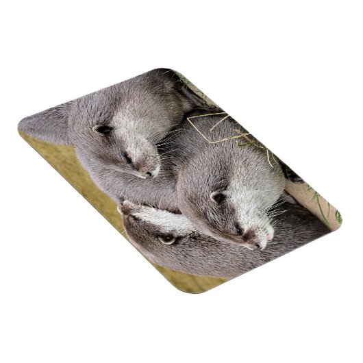 SNETTERS MAGNEET (Rechterzijde)