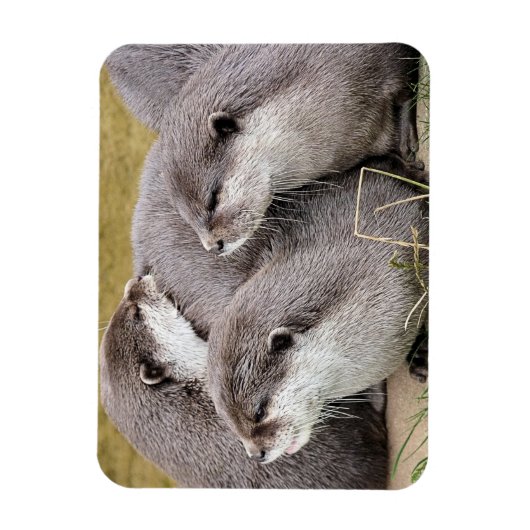 SNETTERS MAGNEET (Verticaal)