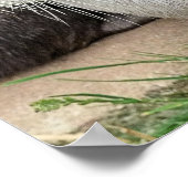 SNETTERS POSTER (Hoek)