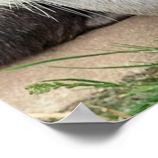 SNETTERS POSTER (Hoek)