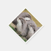 SNETTERS SERVET (Hoek)