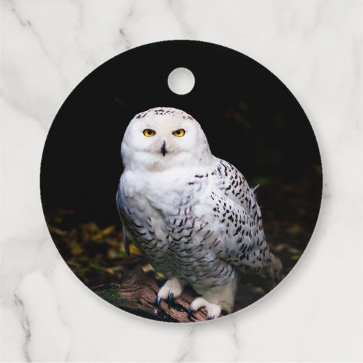 Sneusuil voor de winter bedankjes labels (Achterkant)