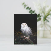 Sneusuil voor de winter briefkaart (Staand voorkant)