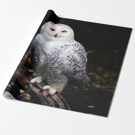 Sneusuil voor de winter cadeaupapier (Uitgerold)