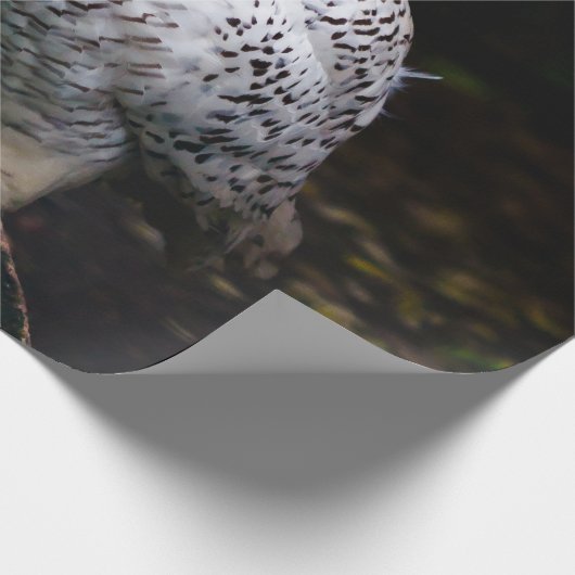 Sneusuil voor de winter cadeaupapier (Hoek)