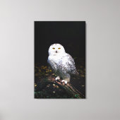 Sneusuil voor de winter canvas afdruk (Voorkant)