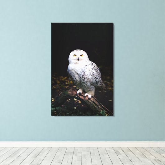 Sneusuil voor de winter canvas afdruk (Insitu (Houten vloer))