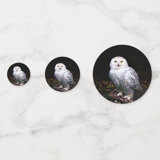 Sneusuil voor de winter confetti (Voorkanten)