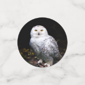 Sneusuil voor de winter confetti (Kleine voorkant)