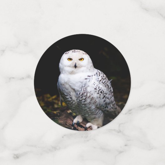 Sneusuil voor de winter confetti (Kleine voorkant)