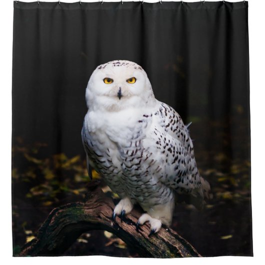 Sneusuil voor de winter douchegordijn (Voorkant)