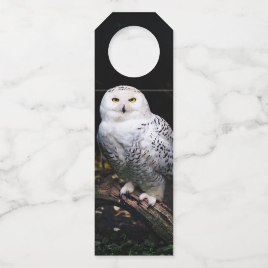 Sneusuil voor de winter flessenhanger (Voorkant)