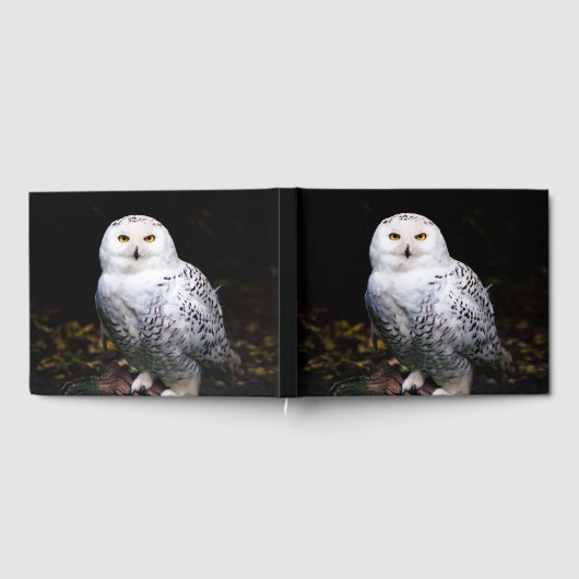 Sneusuil voor de winter gastenboek (Volledig)