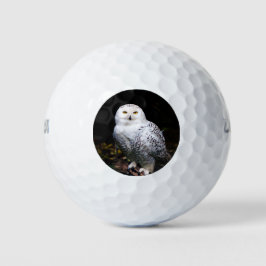 Sneusuil voor de winter golfballen