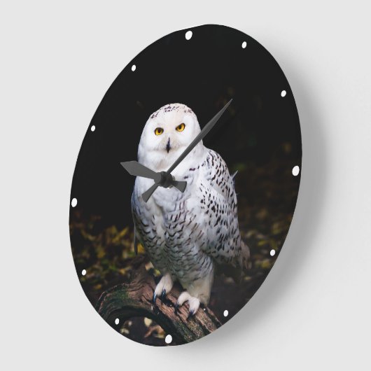 Sneusuil voor de winter grote klok (Hoek)