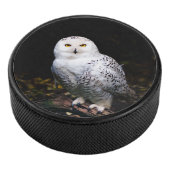 Sneusuil voor de winter hockey puck (3/4)