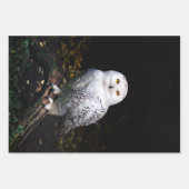 Sneusuil voor de winter inpakpapier vel (Voorkant 2)