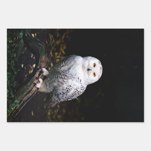 Sneusuil voor de winter inpakpapier vel (Voorkant 2)