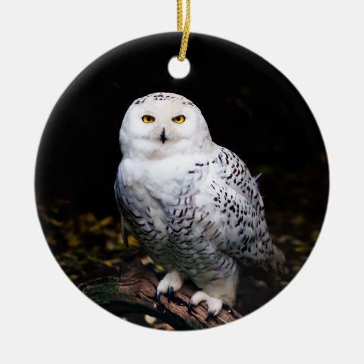 Sneusuil voor de winter keramisch ornament (Voorkant)