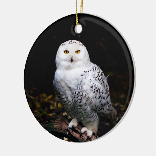 Sneusuil voor de winter keramisch ornament (Links)