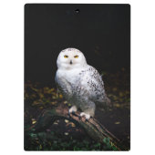 Sneusuil voor de winter klembord (Achterkant)