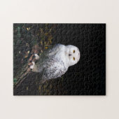 Sneusuil voor de winter legpuzzel (Horizontaal)