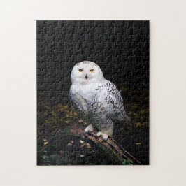 Sneusuil voor de winter legpuzzel