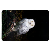 Sneusuil voor de winter magneet (Horizontaal)