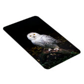 Sneusuil voor de winter magneet (Rechterzijde)