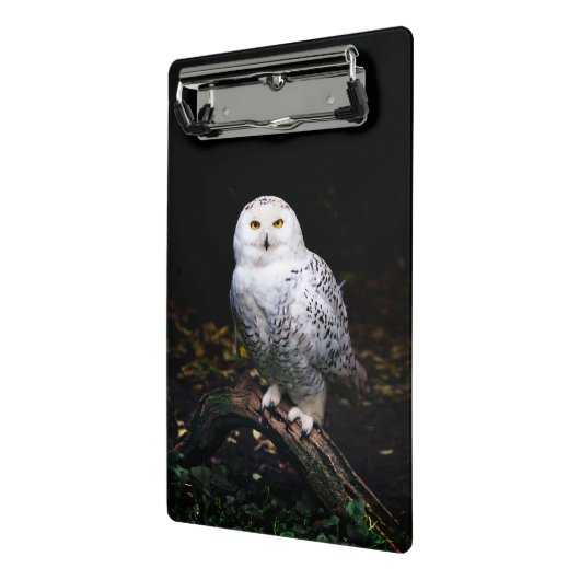 Sneusuil voor de winter mini klembord (Angled2)