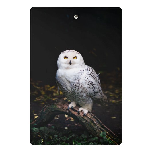 Sneusuil voor de winter mini klembord (Achterkant)