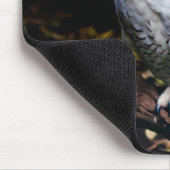 Sneusuil voor de winter muismat (Hoek)