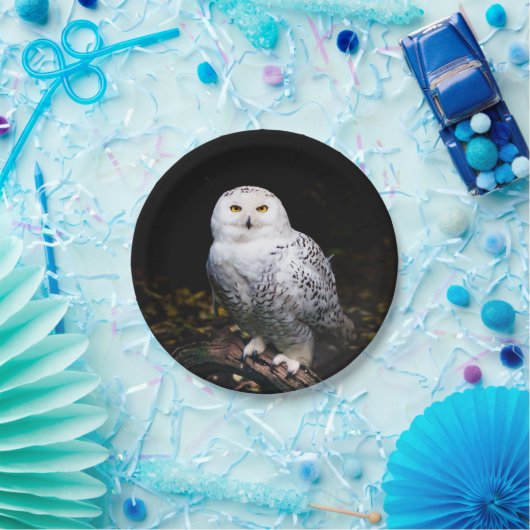 Sneusuil voor de winter papieren bordje (Feest)